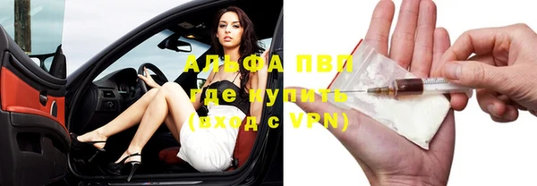 шишки Арсеньев