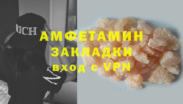 шишки Арсеньев