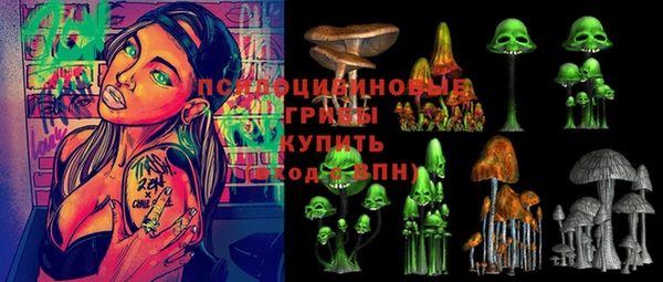 спиды Армянск