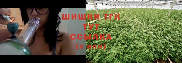 шишки Арсеньев