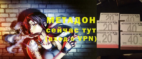 шишки Арсеньев