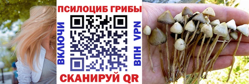 кракен tor цена наркотик Грайворон Псилоцибиновые грибы MAGIC MUSHROOMS