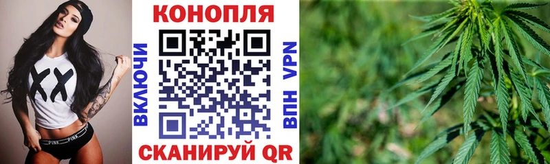 Бошки марихуана семена Грайворон